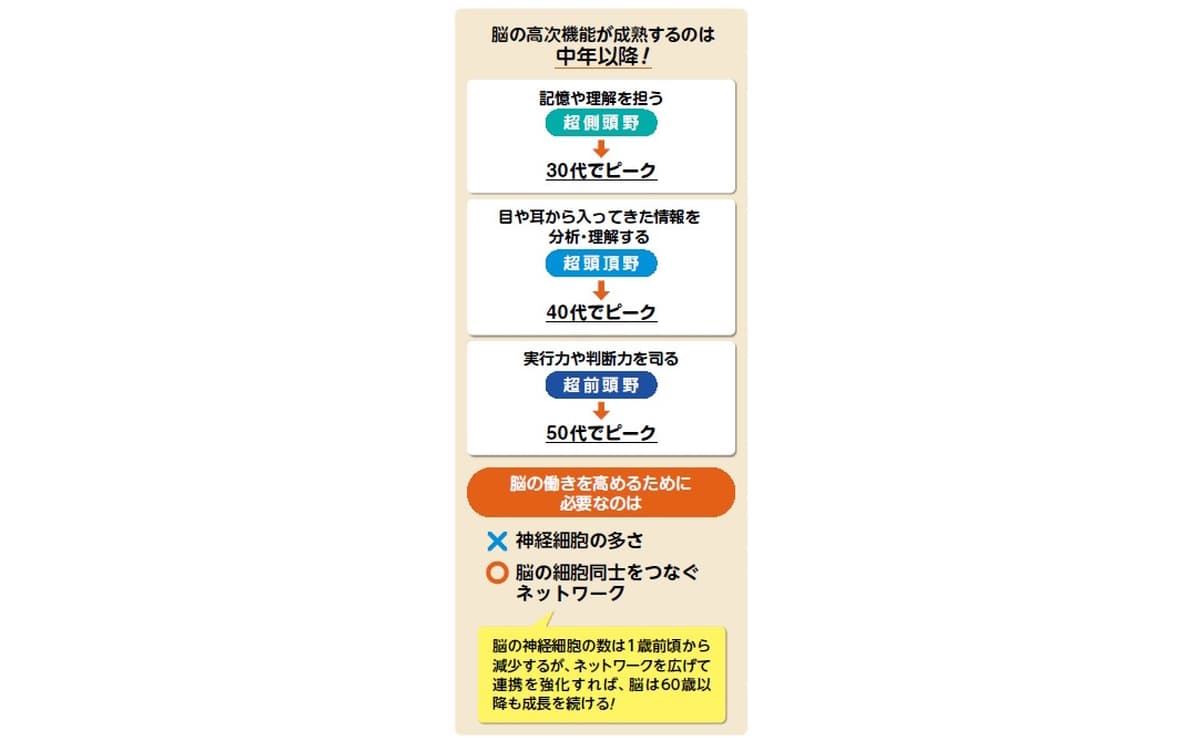 脳の高次機能の発達