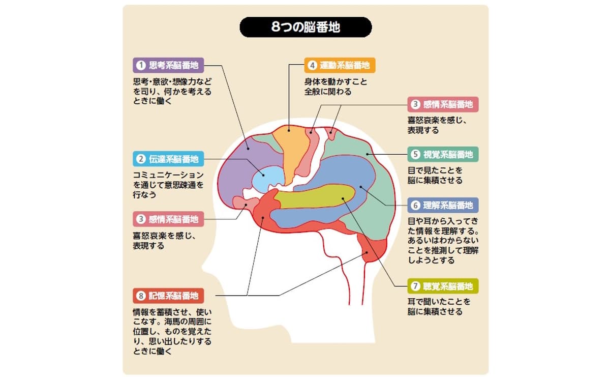脳番地
