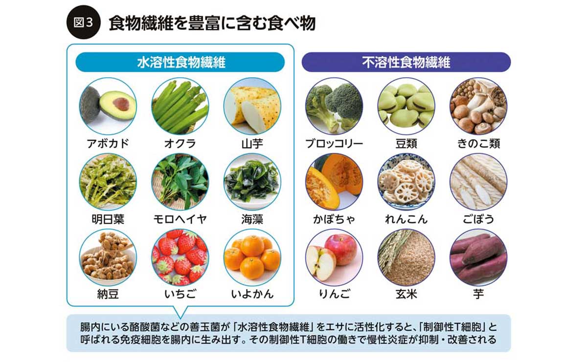 食物繊維豊富な食べ物