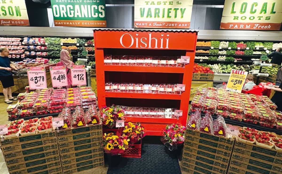 Oishii Farm